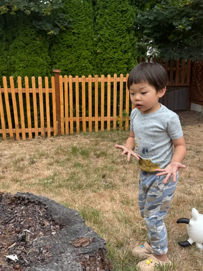 Baby exploring washed tree bark pieces in low yard tray – summer infant water-adjacent sensory play  