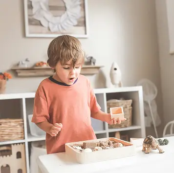 A preschooler sorting objects in a wooden tray